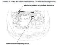 Localización de componentes del sistema de control del acelerador electrónico