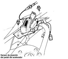 Sensor de posición del pedal del acelerador